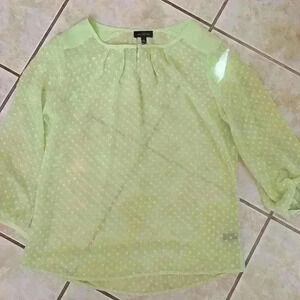 🌻The Limited Polka Dot Sheer Shirt Green/Mint Black